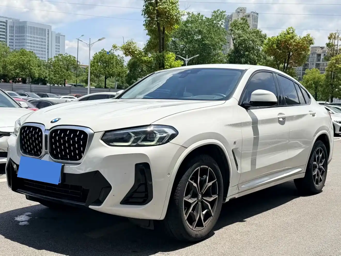 BMW X4 2022 xDrive 25i M Sport Package