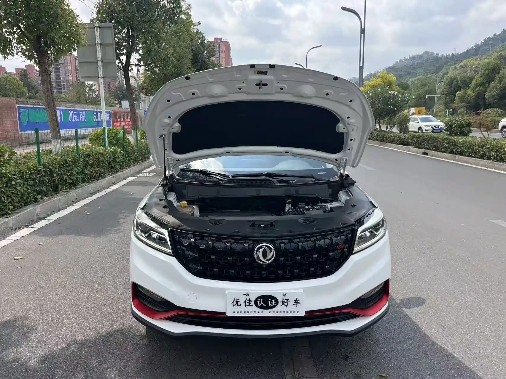 Фото 8 - Dongfeng Fengguang Fengguang 580