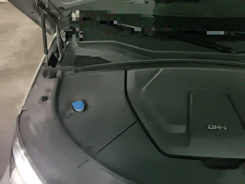 Фото 21 - BYD Song PLUS PHEV