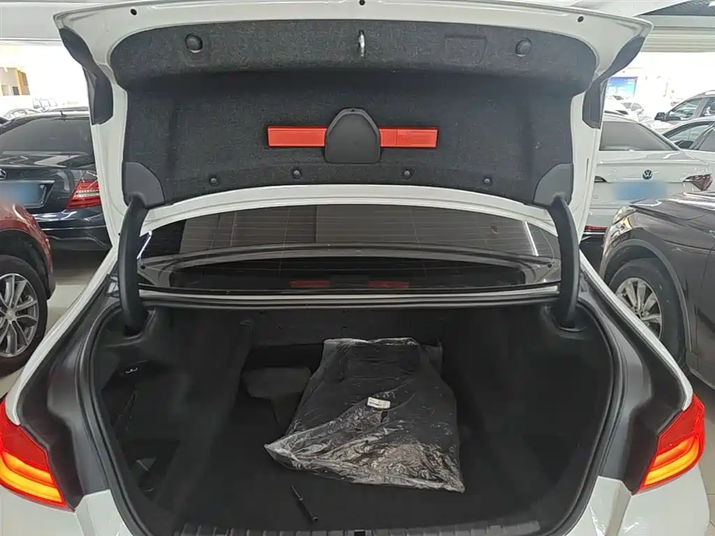 BMW 5 Series 2018 525Li Luxury Package фото 19