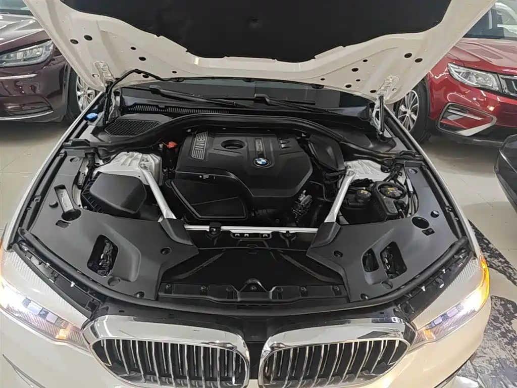 BMW 5 Series 2018 525Li Luxury Package фото 20