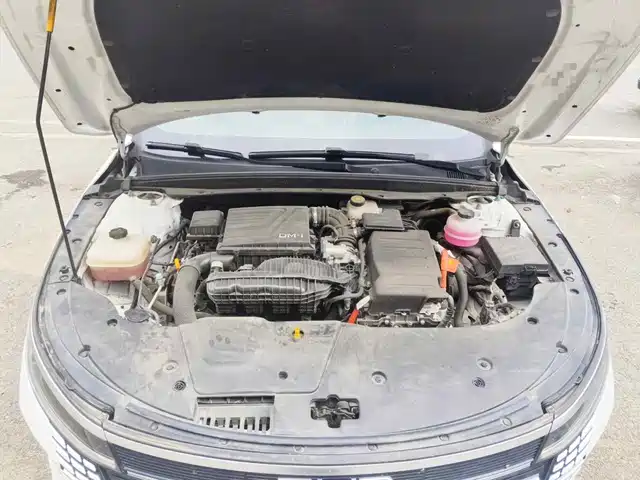 BYD Destroyer 05 2024 Glory Edition DM-i 55KM Luxury — фото 3