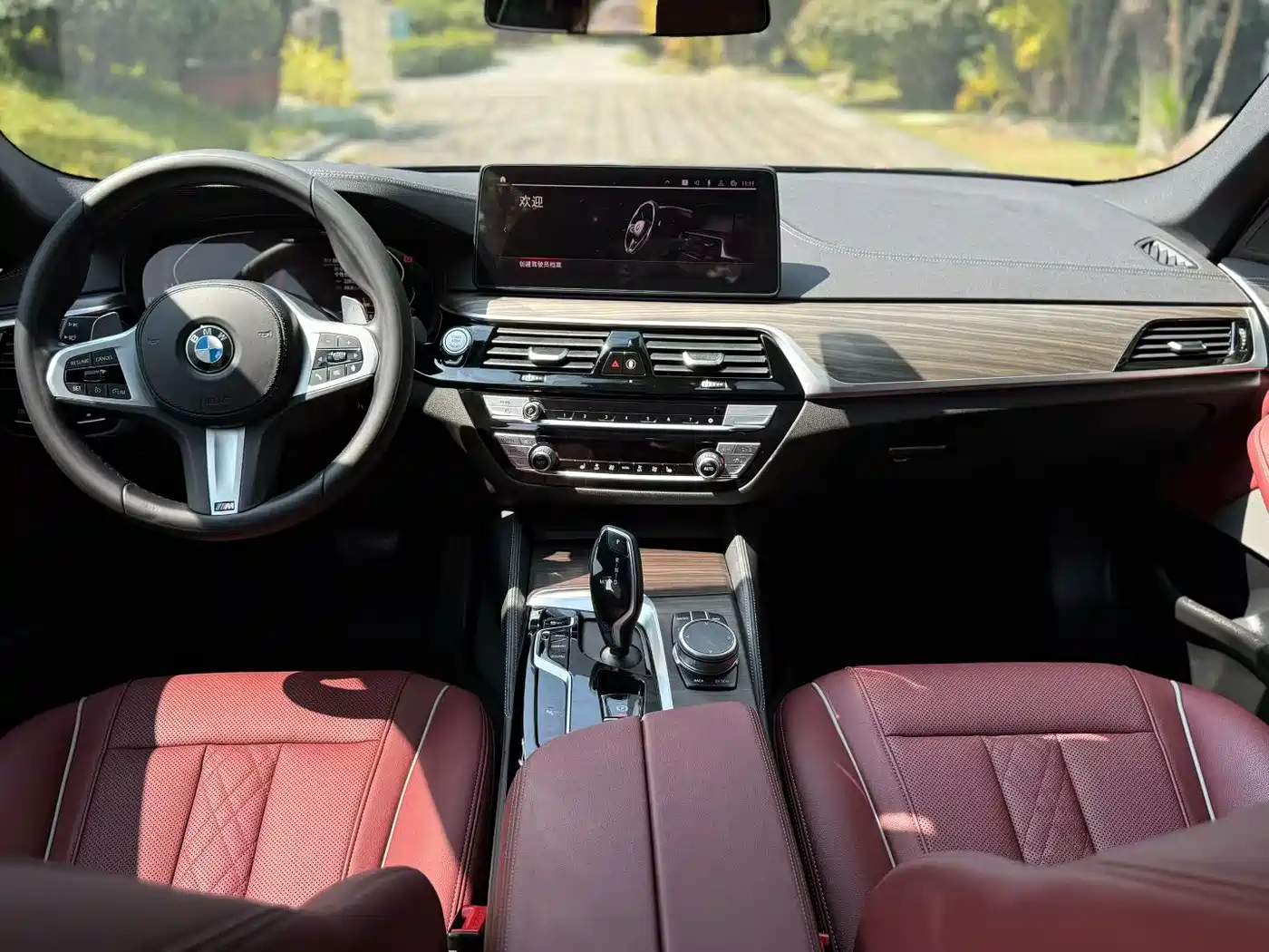 BMW 5 Series 2022 530Li Leading M Sport Package фото 6