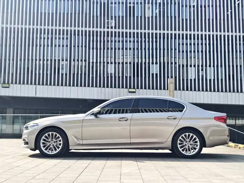 BMW 5 Series 2020 530Li Leading Luxury Package фото 3