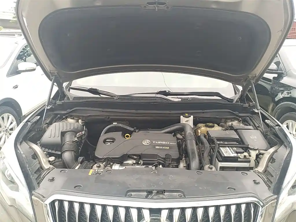 Buick Envision Plus 2017 20T 2WD Luxury фото 20