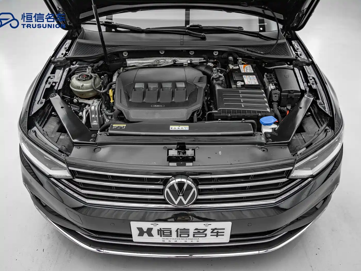 Volkswagen Magotan 2020 330TSI DSG Luxury фото 20