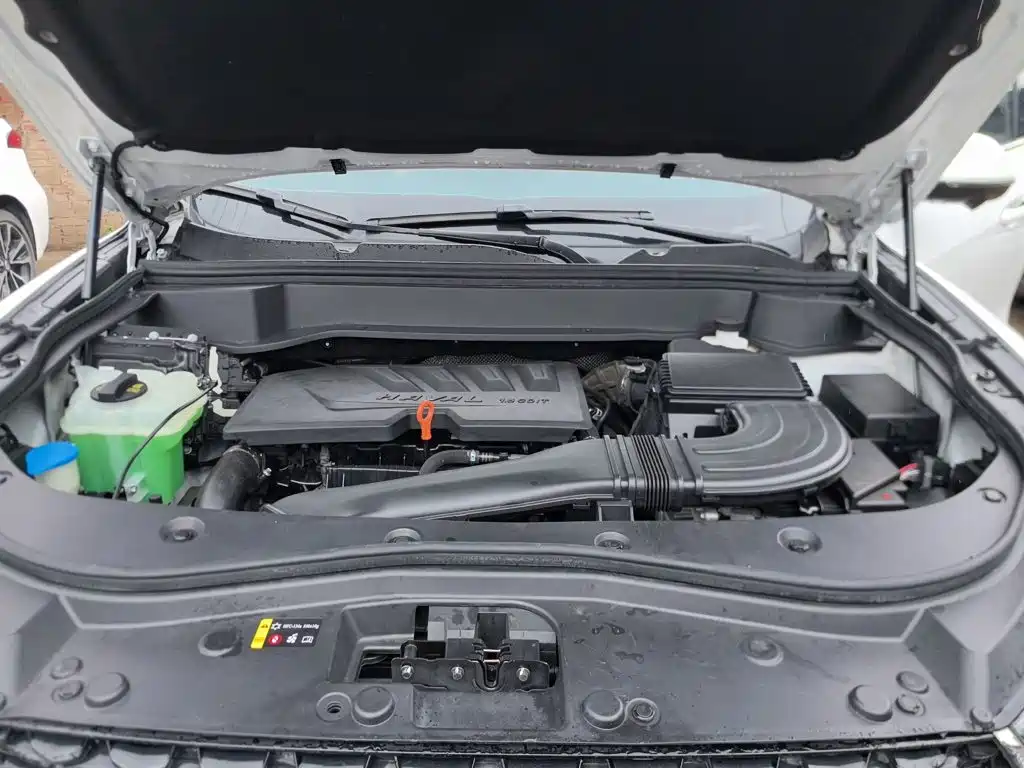 Фото 20 - Haval F7x