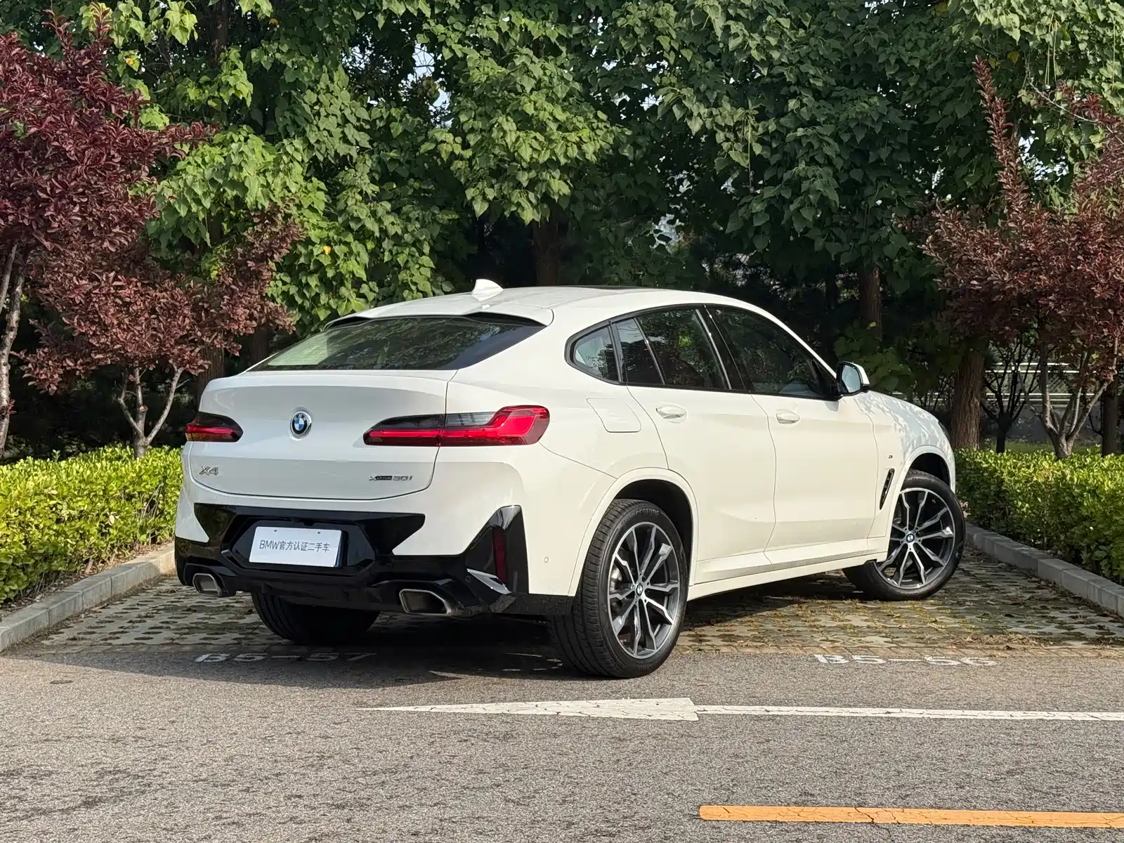 صورة 4 - BMW X4