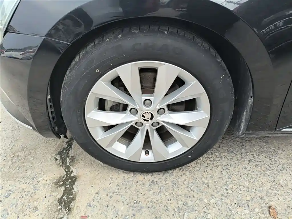 Škoda Superb 2016 TSI280 DSG Pioneer Edition фото 23