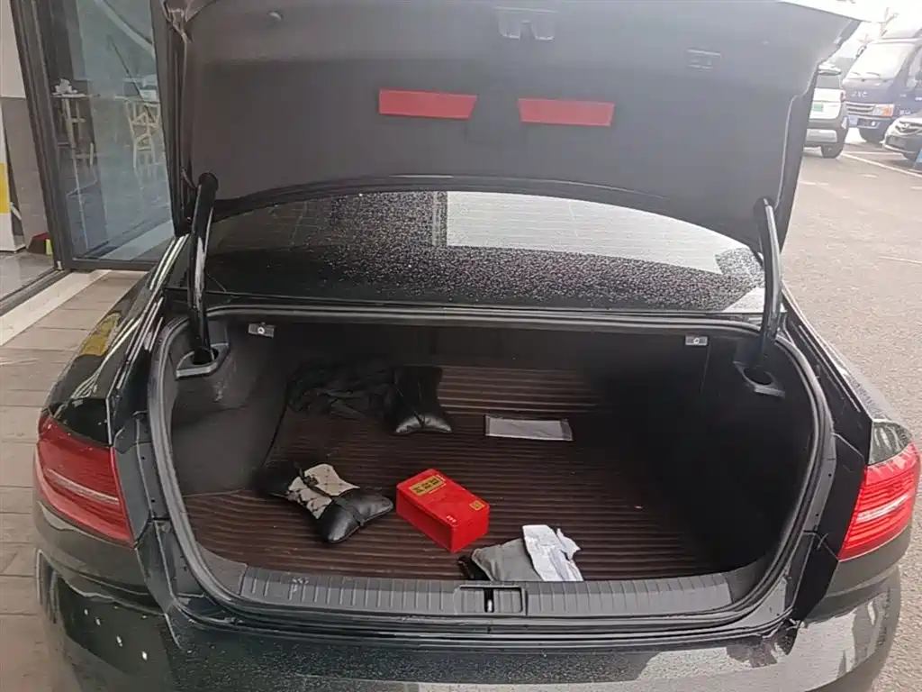 Volkswagen Magotan 2019 330TSI DSG Luxury China V фото 19