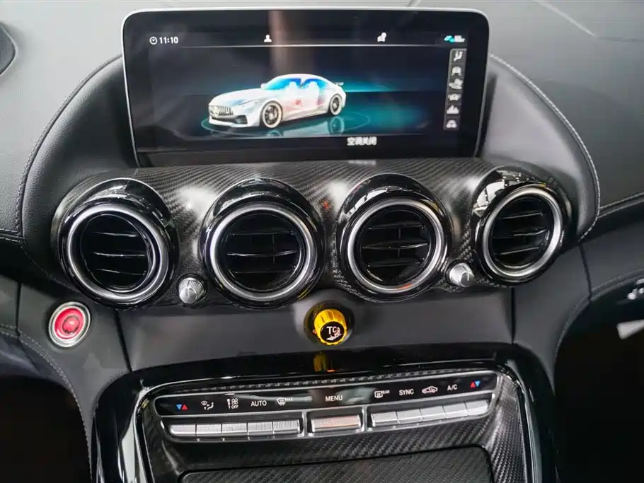 Mercedes-Benz AMG GT 2019 AMG GT R PRO фото 17