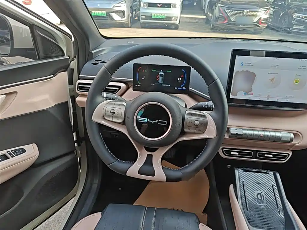 BYD Seagull 2023 Flying Edition фото 11