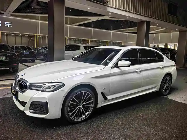 BMW 5 530Li, Лидер, M Спорт-пакет