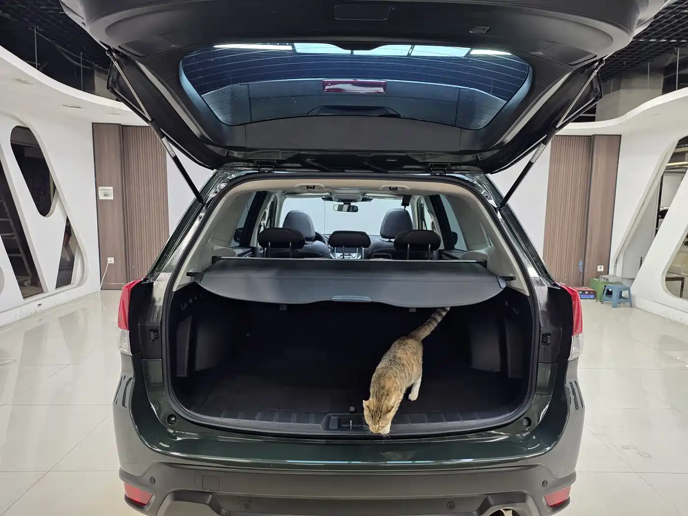 Subaru Forester 2022 2.0i AWD Luxury Edition with EyeSight фото 9