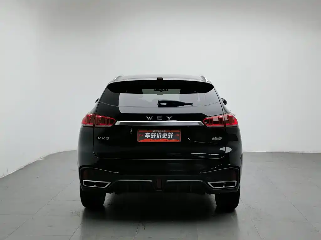 2021 WEY VV5
