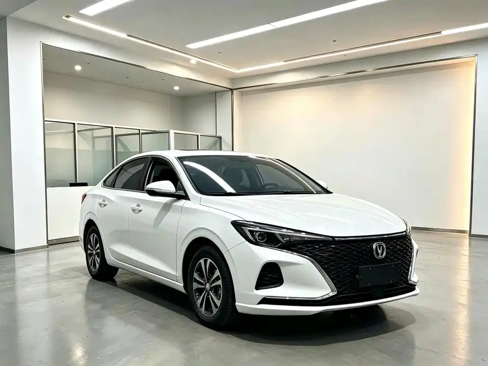 Фото 3 - Changan Eado