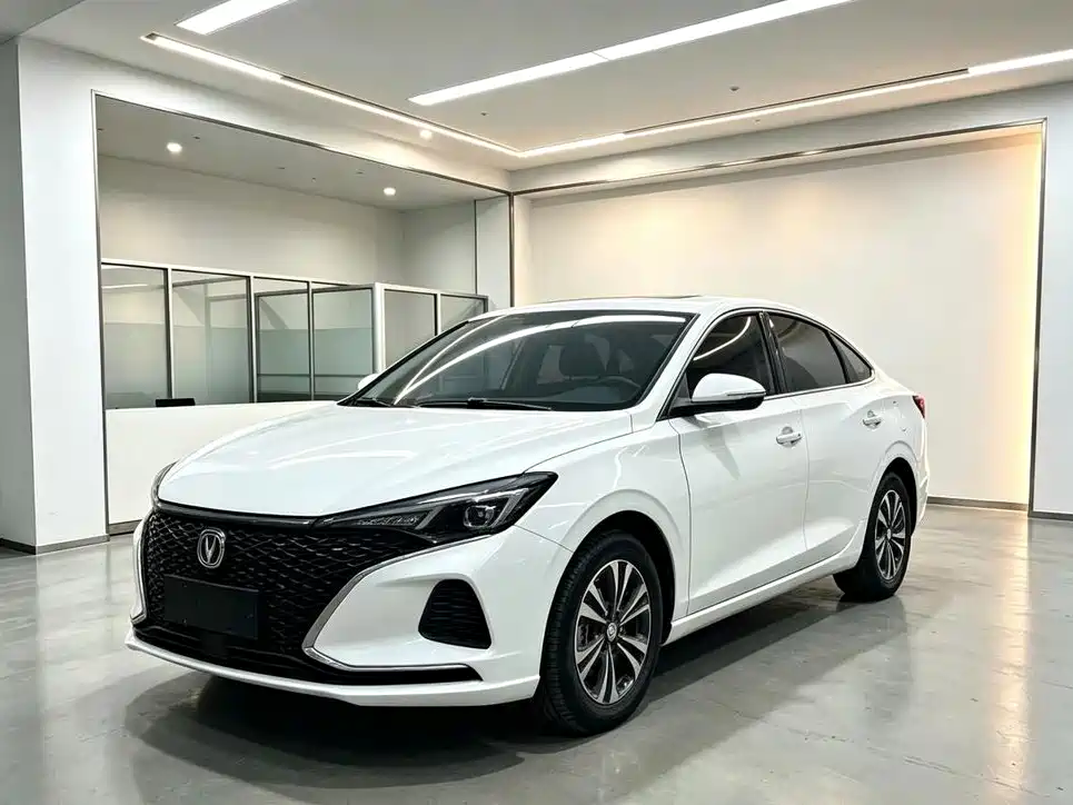 Фото 1 - Changan Eado