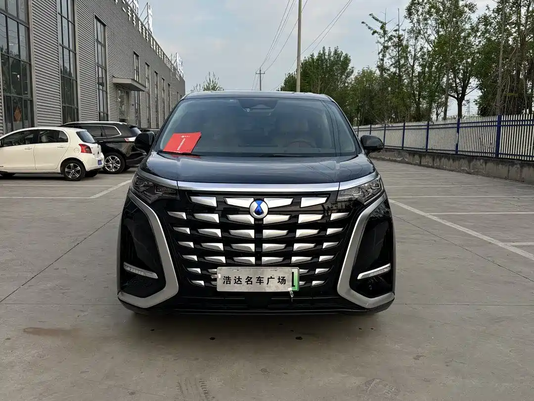 Denza D9 2024 DM-i 980 AWD Prestige фото 2