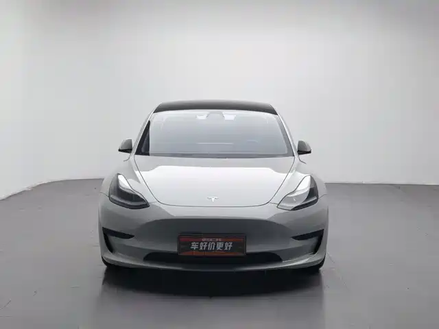 Tesla Model 3 2021 Standard Range Rear-Wheel Drive Upgrade — фото 3