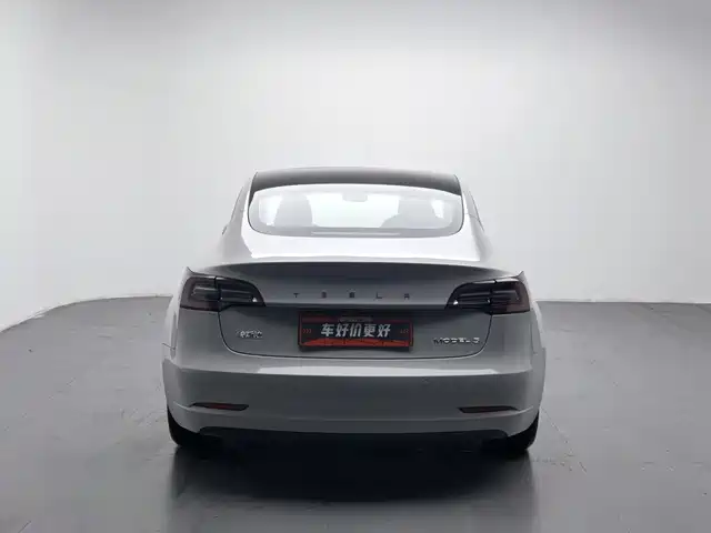 Tesla Model 3 2021 Standard Range Rear-Wheel Drive Upgrade — фото 4