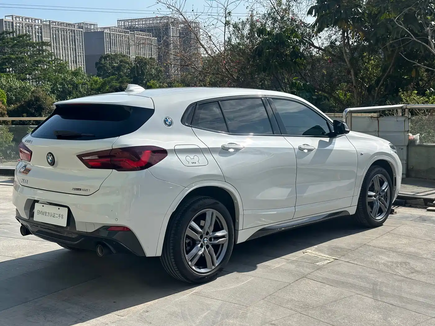 BMW X2