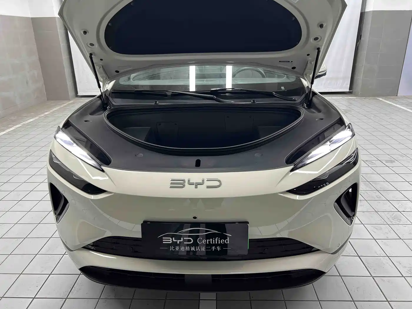 BYD Sealion 06 New Energy 2025 EV 605 Pilot Pro Edition фото 11