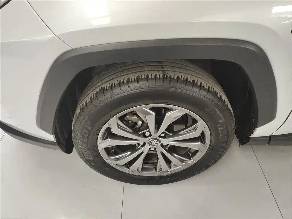 Toyota RAV4 Rongfang 2023 2.0L CVT 2WD 20th Anniversary Platinum Edition фото 23
