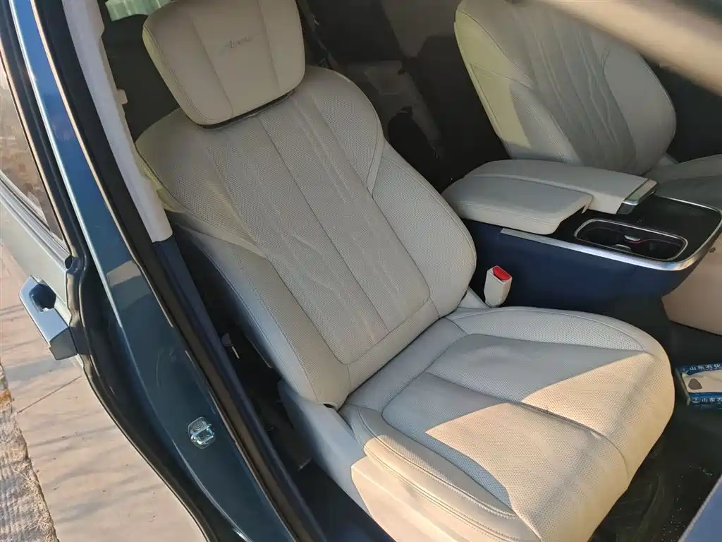 Buick Century 2023 2.0T 7-Seater World Edition фото 17