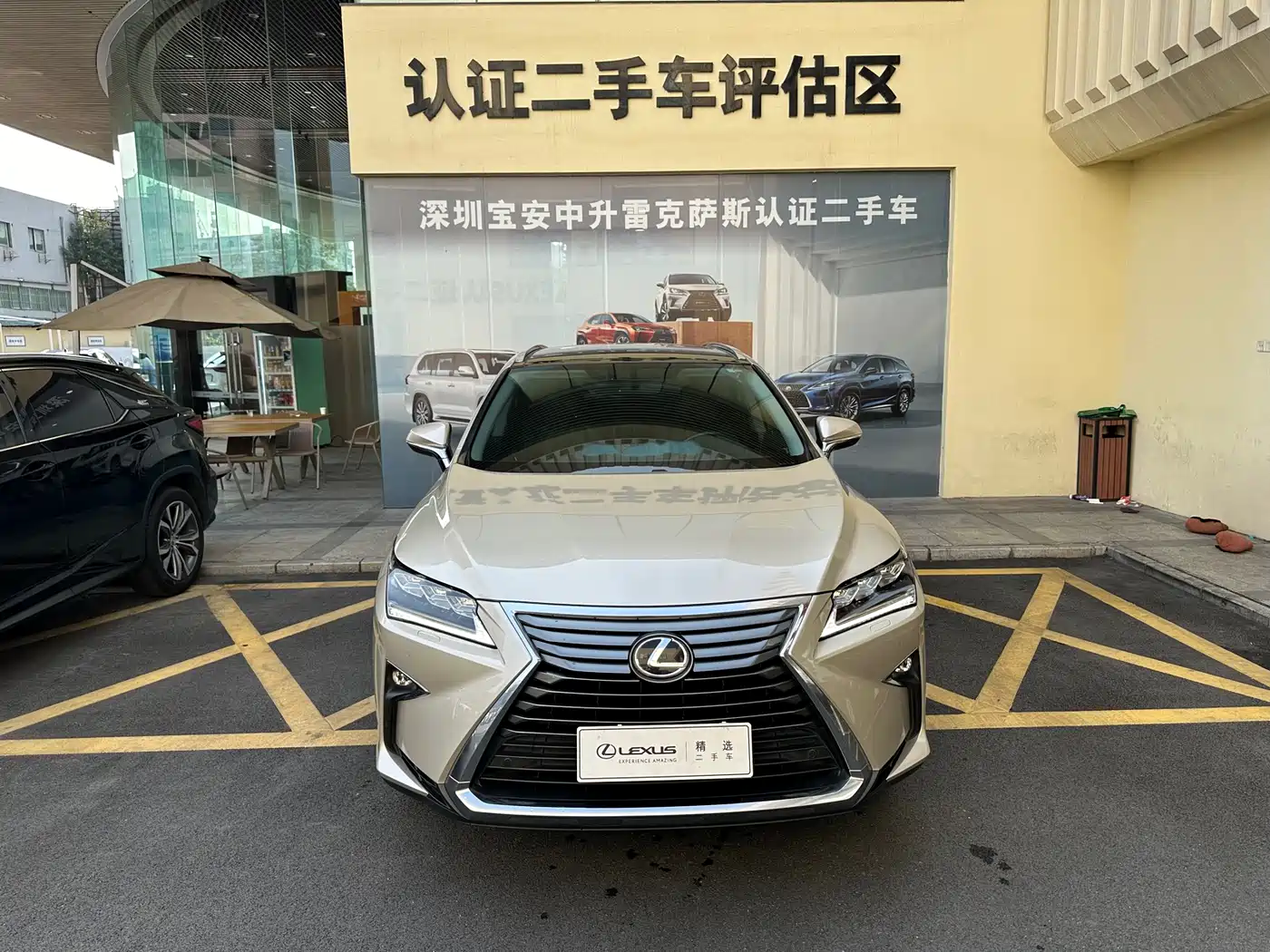 Lexus RX 2016 300 4WD Elegance Edition (China V) фото 6