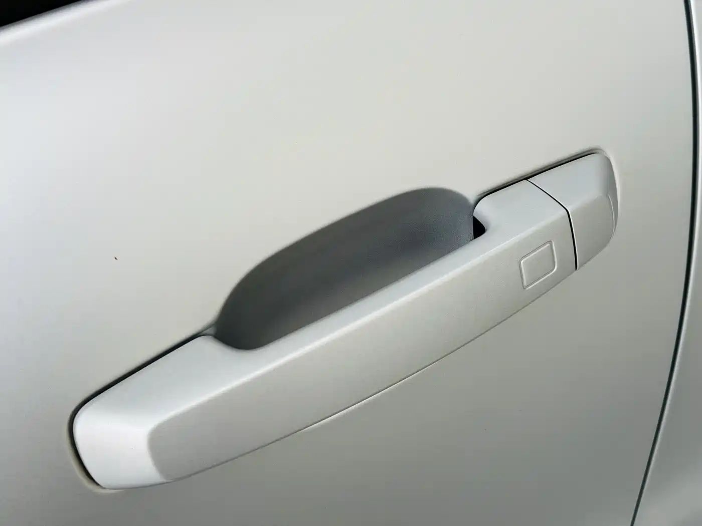 TANK CO CREATION TANK 300