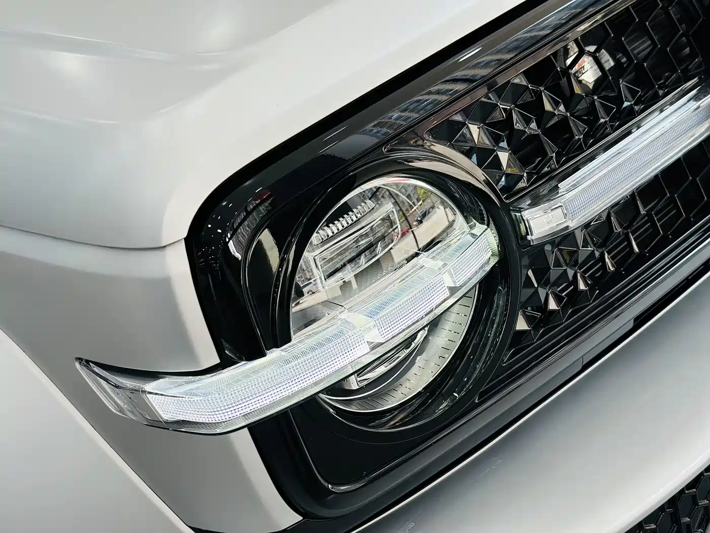 TANK CO CREATION TANK 300