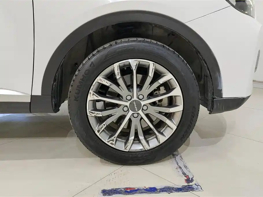 Haval H6 2020 2.0GDIT Automatic Platinum Champion Edition фото 6
