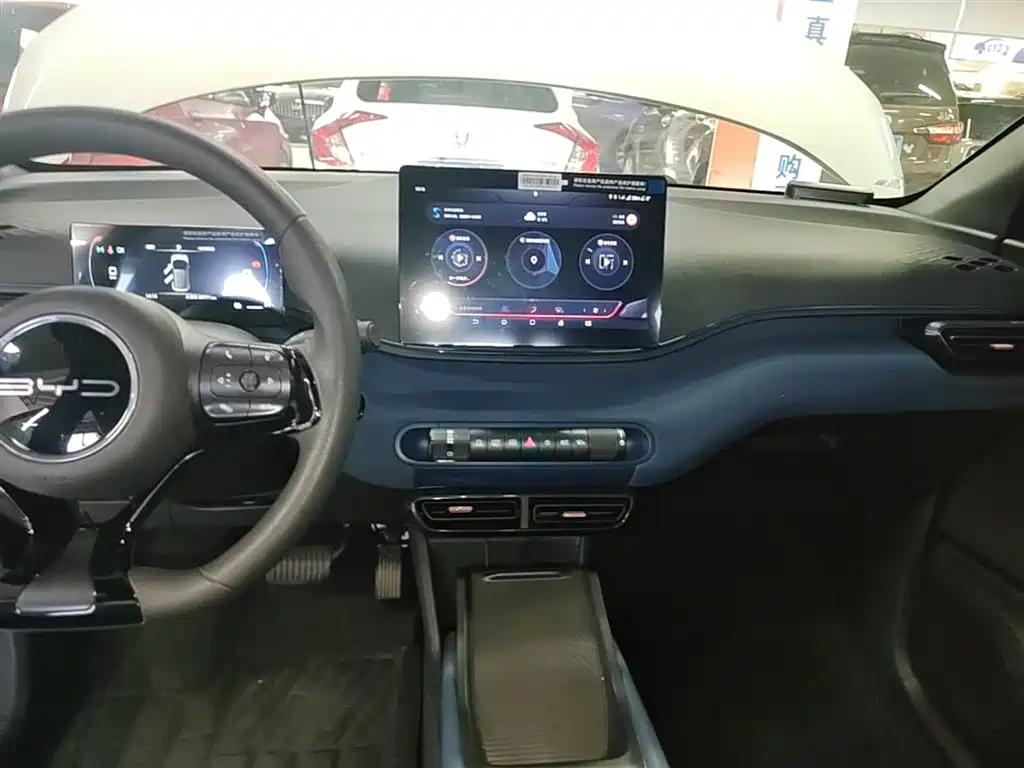 BYD Seagull 2023 Vitality Edition фото 13