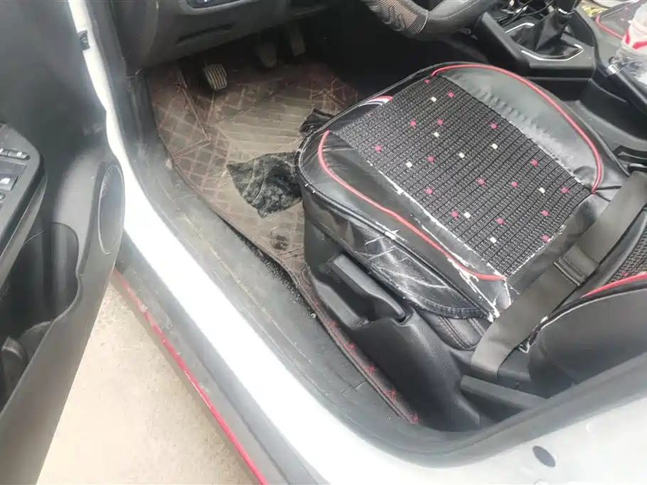 DONGFENG SCENERY 500