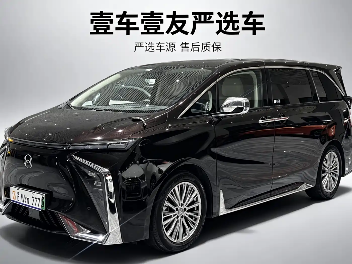 Hycan Auto Hycan V09 2023 Honor Edition 762