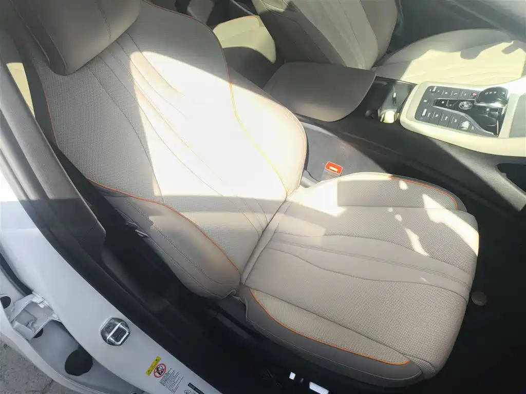 BYD Song Pro New Energy 2024 Glory Edition DM-i 110KM Excellence фото 25