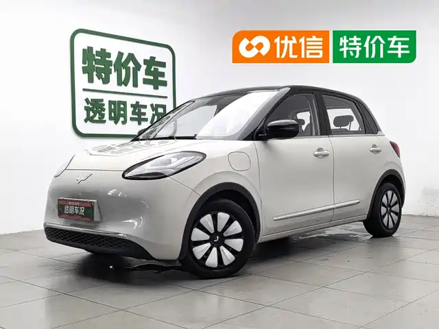  Wuling Motors Wuling Bingo 2023 410km Lingxi Premium Edition