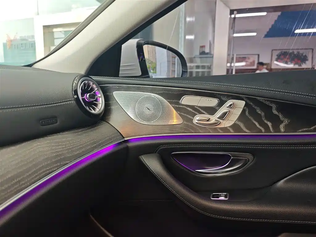 Mercedes-Benz CLS 2018 CLS 300 Luxury фото 15