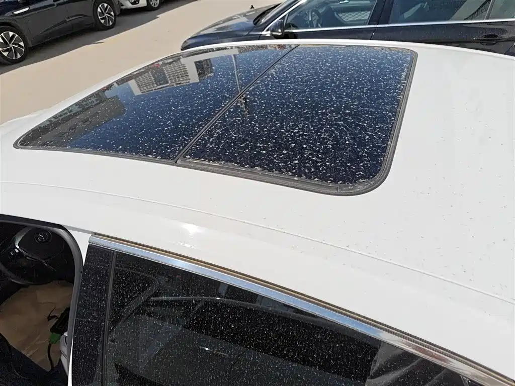 Volkswagen Sagitar 2019 280TSI DSG Flagship Model China V фото 27