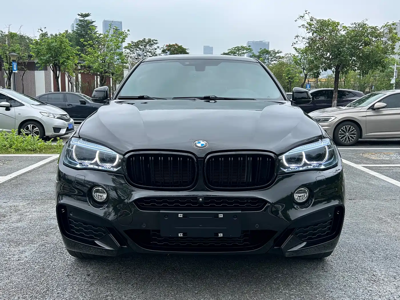 BMW X6 2019 xDrive35i M Sport Package фото 2