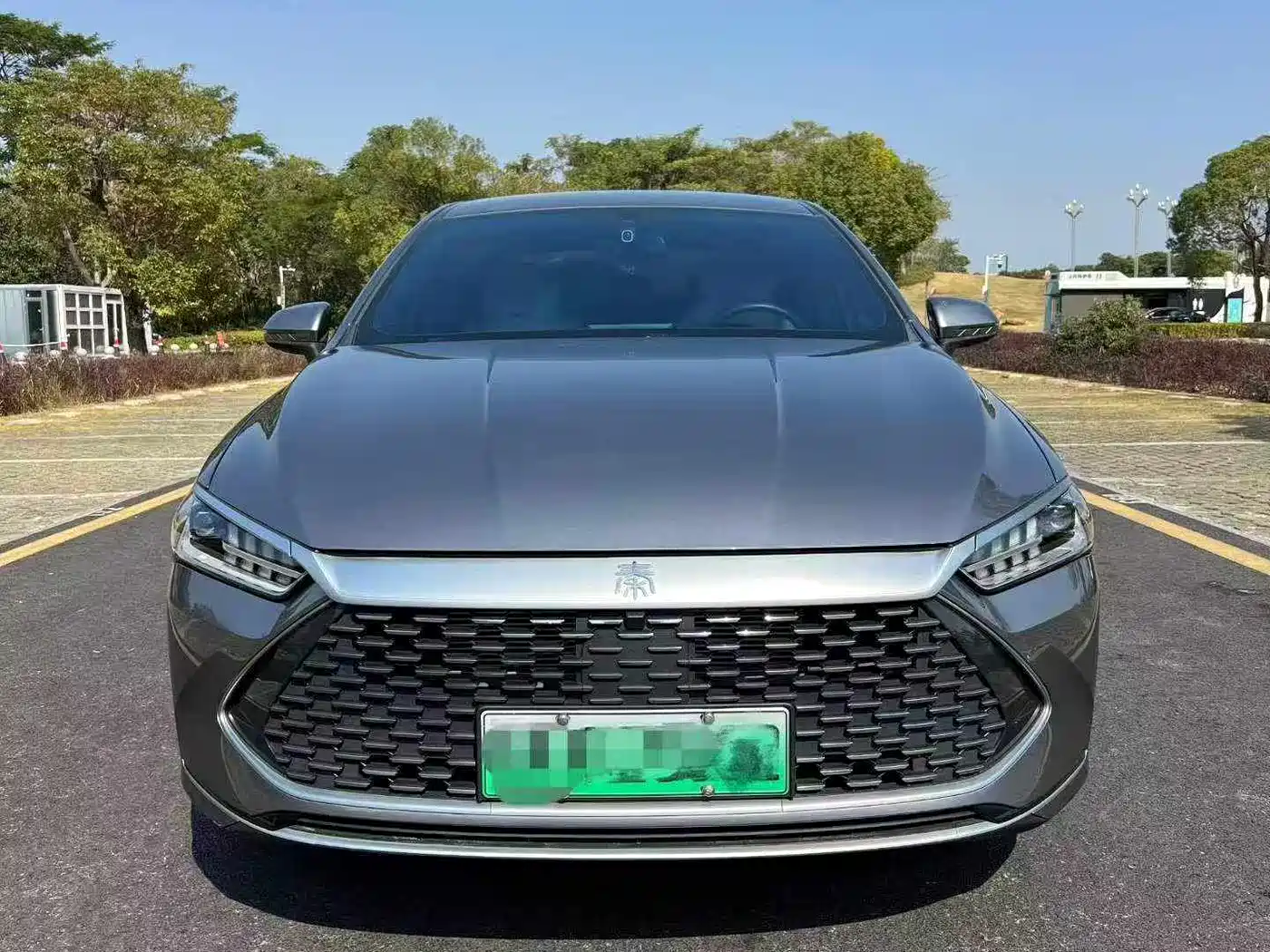 BYD Qin PLUS 2023 Champion Edition DM-i 55KM Leading фото 2
