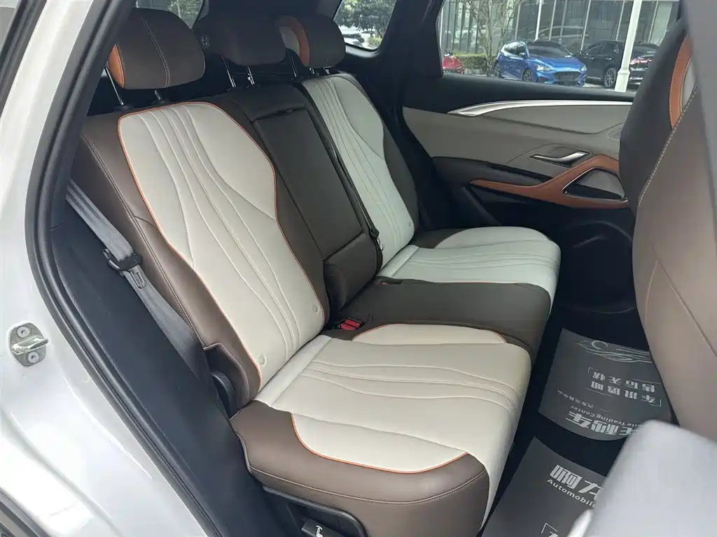 BYD Song Pro New Energy 2022 DM-i 51km Luxury фото 8