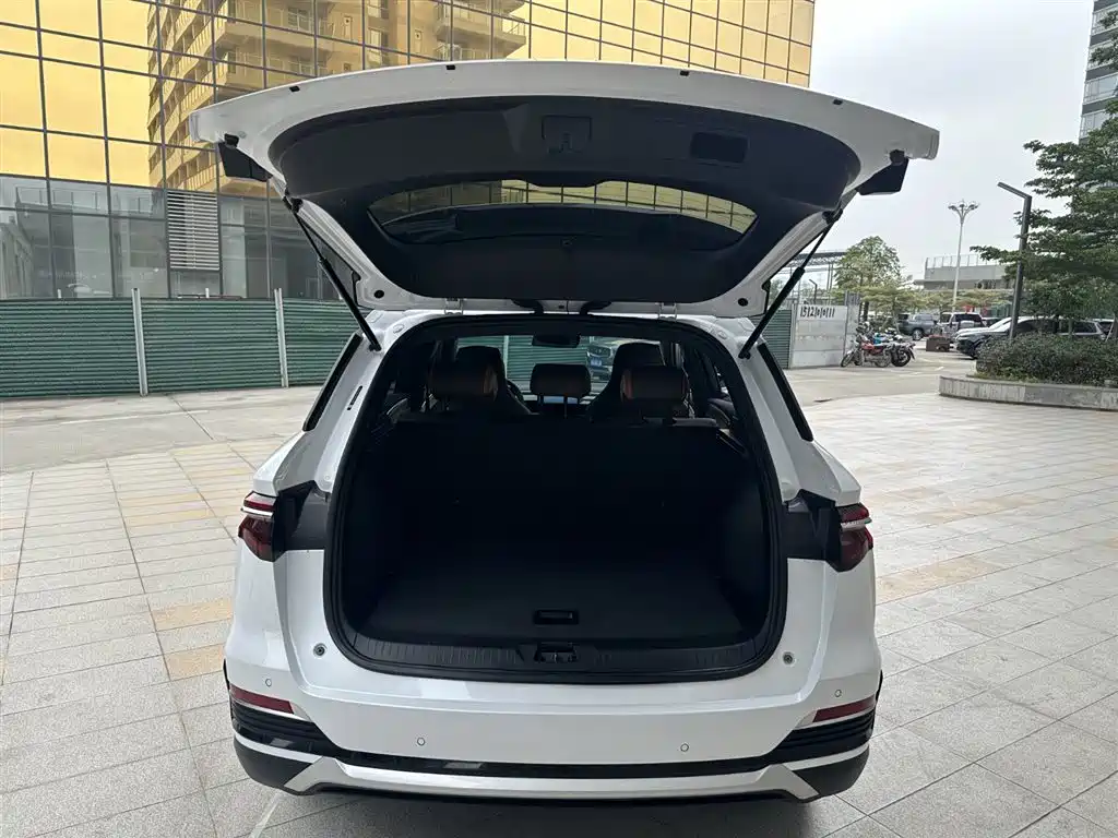 BYD Song Pro New Energy 2022 DM-i 51km Luxury фото 10