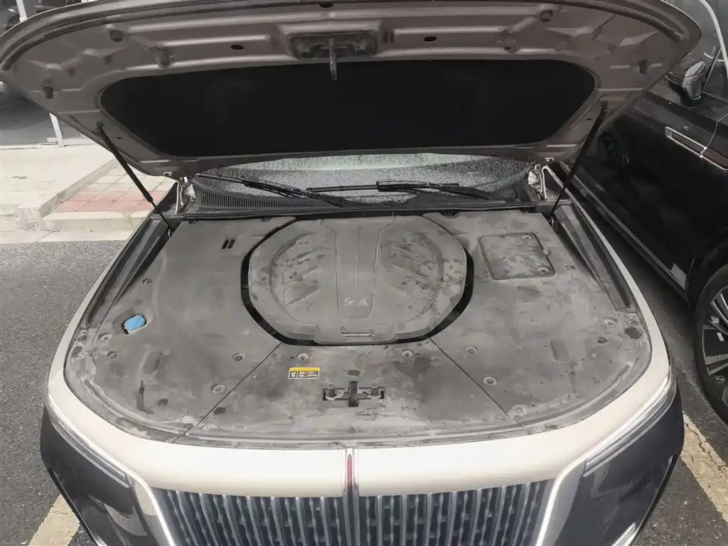 Hongqi H9 2020 3.0T Smart Connect Flagship 4-Seater фото 10