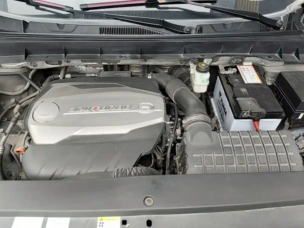 GAC Trumpchi Trumpchi GS8 2017 320T 2WD Luxury Smart Connect (7-seater) фото 20