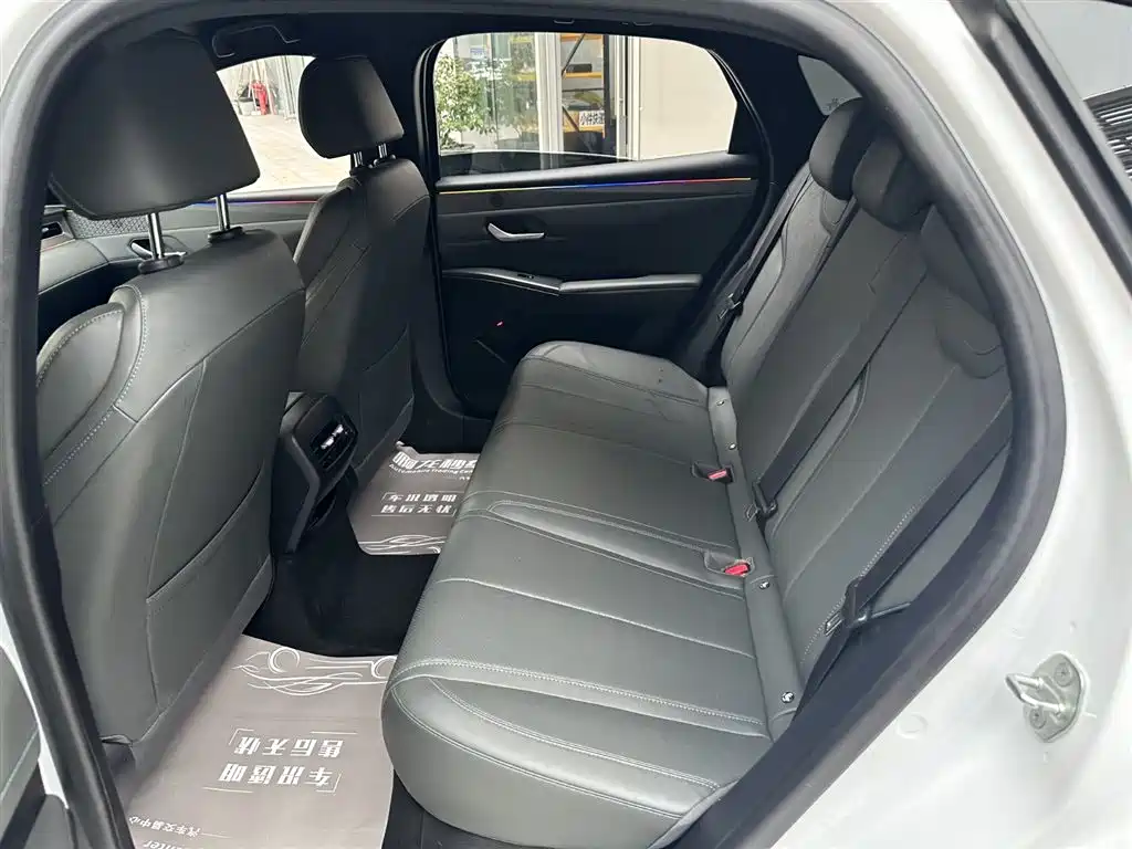 BYD Qin PLUS 2025 DM-i Smart Drive 55KM Leader фото 13