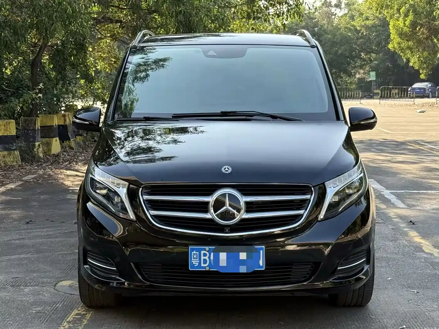 Mercedes-Benz V-Class 2018 V 260 Premium Edition China VI фото 2