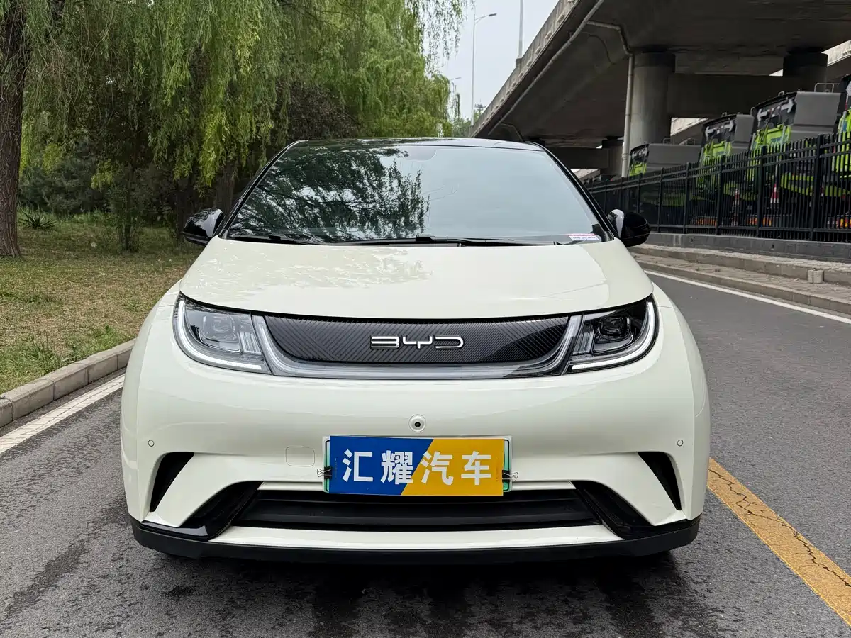 BYD Dolphin 2024 Glory Edition 420km Fashion Edition фото 2