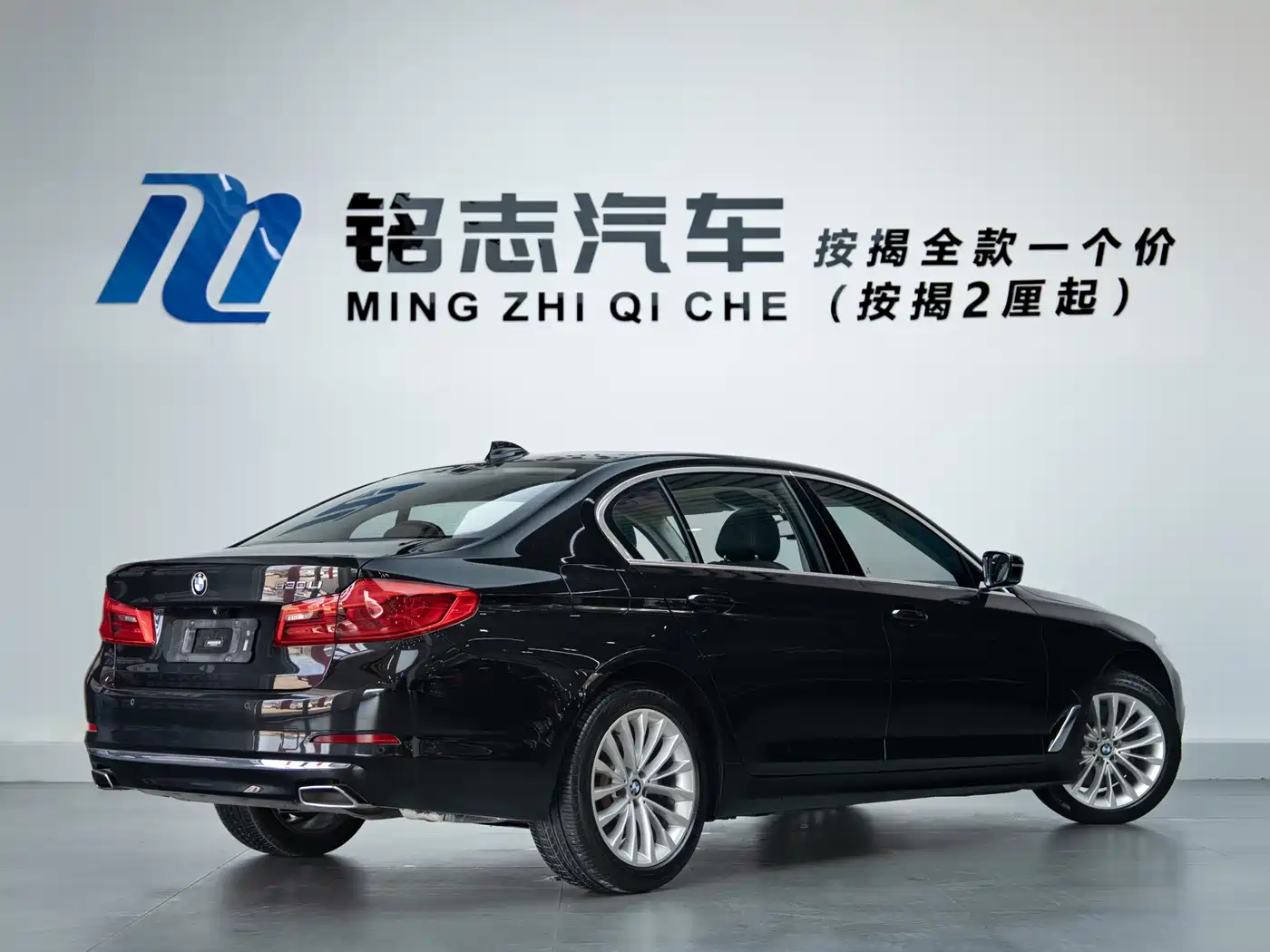 BMW 5 Series 2019 530Li Leading Luxury Package фото 5