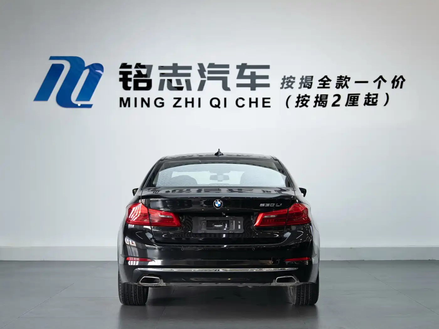 BMW 5 Series 2019 530Li Leading Luxury Package фото 7